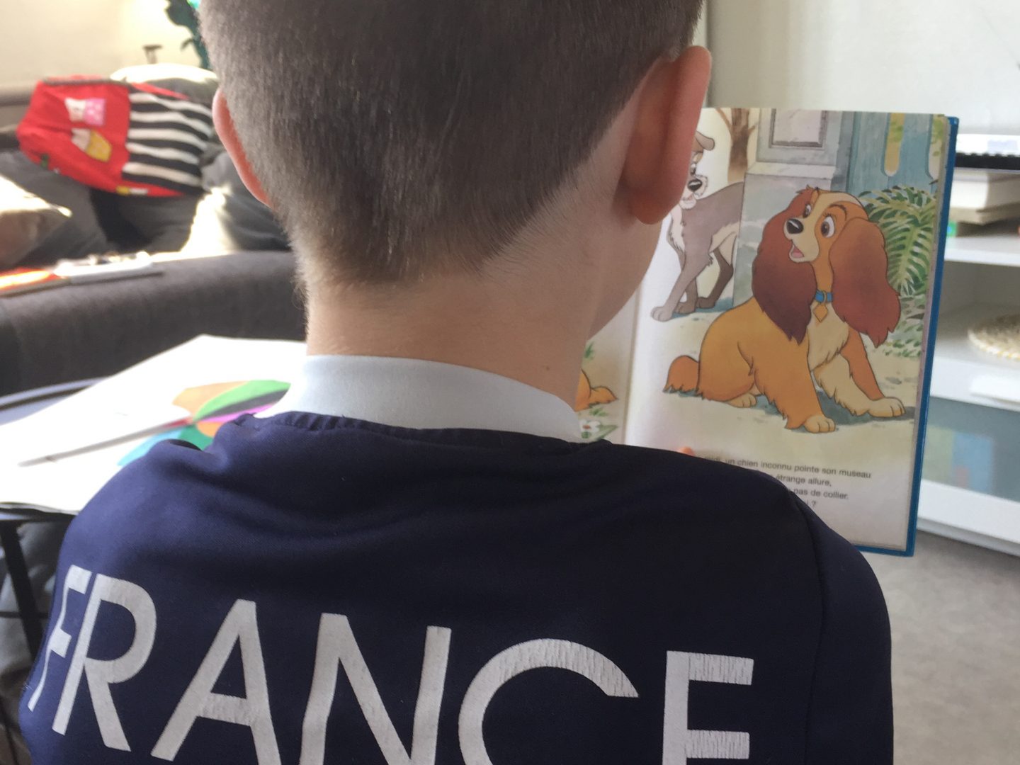 Prendre soin d&rsquo;un chien