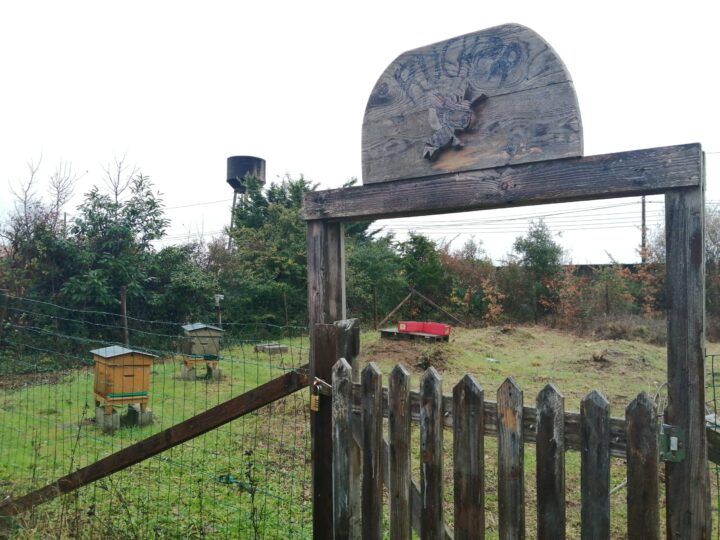 Le DITEP La Papotière accueille des ruchers à Nantes