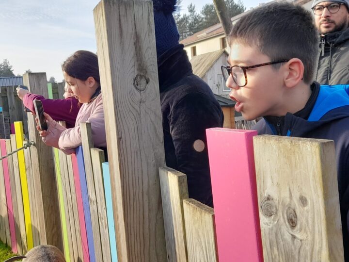 Séjour à Center Parcs pour 6 jeunes accompagnés par le PEAD du Centre Nouvel Horizon