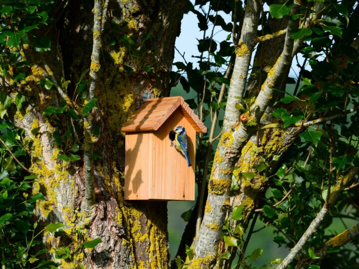 La MECS Les Cades de Sillans-la-Cascade : un refuge pour la biodiversité