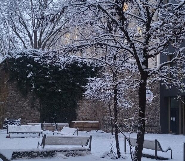 Terrain de jeu enneigé pour démarrer l&rsquo;année en beauté !