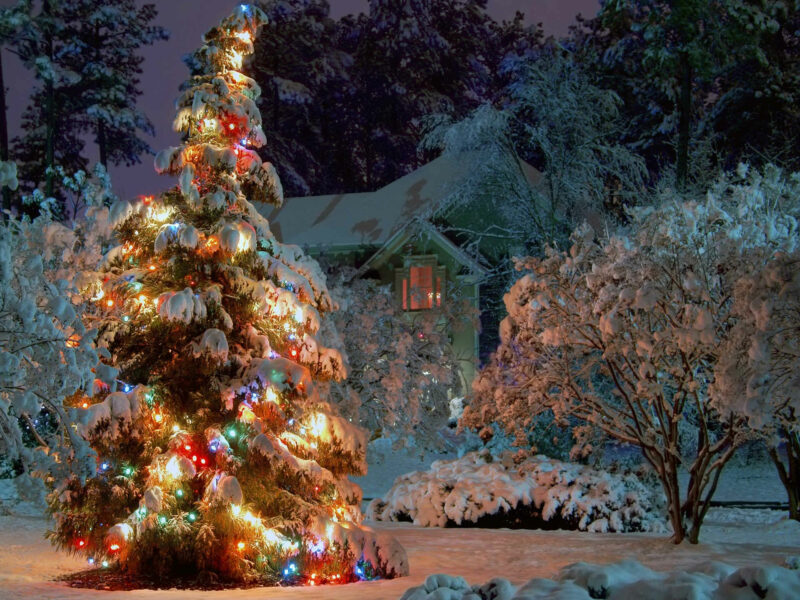 Joyeux Noël à tous