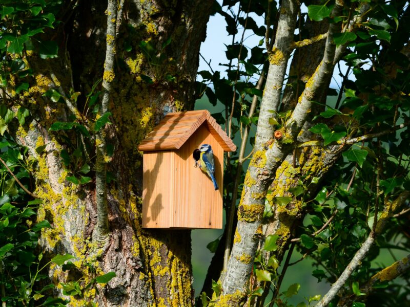 La MECS Les Cades de Sillans-la-Cascade : un refuge pour la biodiversité