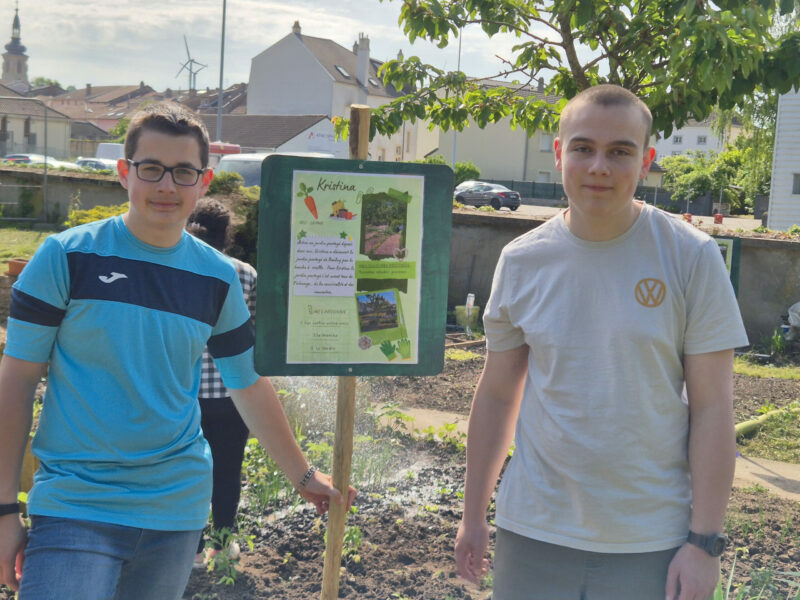 Expo locale : le « Jardin’âge » mis à l&rsquo;honneur par les jeunes du DITEP Boulay !